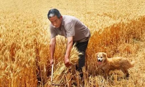 'Đàn ông sợ tháng tám, đàn bà sợ tháng mười hai âm lịch' nghĩa là gì? Tại sao đàn ông sợ tháng 8? Vấn đề ở đây là gì?