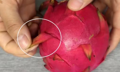 Khi chọn thanh long cúng rằm, hãy nhớ 4 mẹo này để chọn thanh long chuẩn ngọt nhé