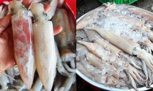 Mực tươi khác mực cấp đông thế nào? Người nội trợ sành sỏi cũng chưa chắc đã biết