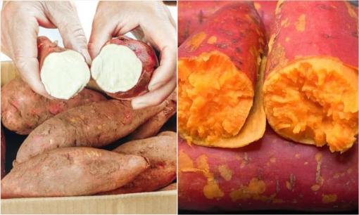Khoai lang cũng có 'khoai lang đực' và 'khoai lang cái', củ nào ngon hơn? Lão nông dạy 3 mẹo nhỏ, khoai lang mua về sẽ mềm và ngọt