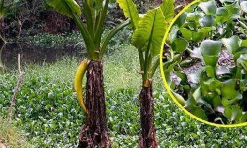 Cô con gái chia sẻ những bức ảnh phong cảnh mình chụp cho mẹ, mẹ cô tái mặt vì sợ hãi sau khi xem nó