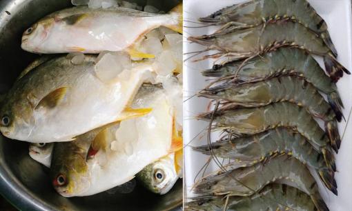 'Ông trùm' thủy sản tiết lộ: 5 loại thủy sản nhiều người thích ăn có quá nhiều chất phụ gia và ông không bao giờ ăn