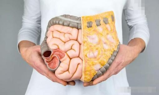 Nói chung, những người thích ăn ba loại thực phẩm này sẽ không bị bệnh đường ruột.