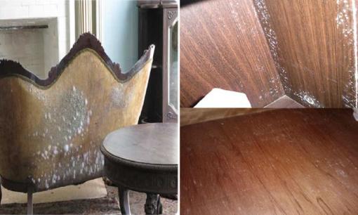 Đồ gỗ bị ẩm mốc vào mùa nồm và độ ẩm cao phải làm sao?