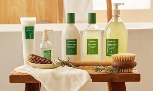 Aromatica - Hành động thiết thực hướng đến bảo vệ môi trường