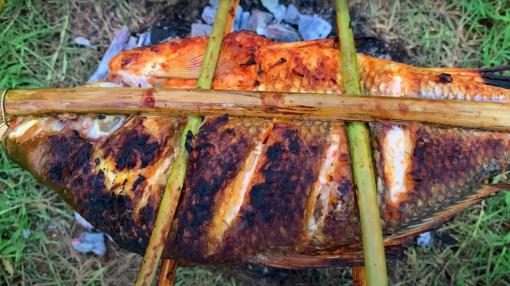 Mặc dù cá rất tốt nhưng bạn nên ăn ít ba loại cá này, vì vừa ít chất dinh dưỡng lại có nhiều chất có hại! 