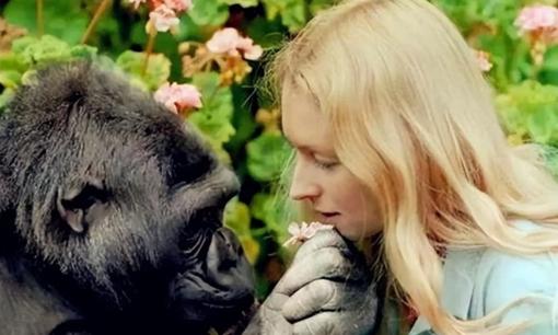 Thí nghiệm gây sốc tiêm tinh trùng của tinh tinh vào cơ thể người: Sau khi 5 người phụ nữ tham gia thí nghiệm, tại sao họ không dám thử lại?