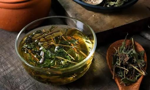 Thứ này ngọt gấp 300 lần đường mía nhưng lại giúp ổn định đường huyết, bác sĩ khuyên người bị tiểu đường nên dùng