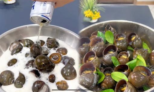 Ốc mua về đừng luộc ngay, đem ngâm với thứ này ốc nhả hết bùn nhớt, luộc thơm ngon hơn hẳn