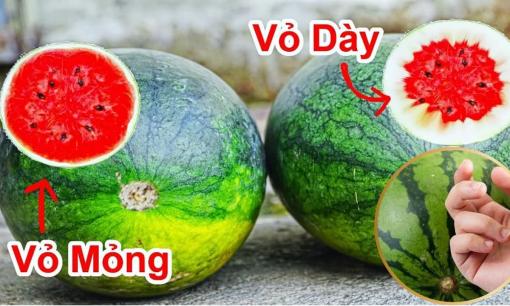 Dưa hấu có 1 'điểm vàng' này, nhìn 3 giây là biết ngay dưa ngọt mọng, không cần vỗ mỏi tay, gặp là mua ngay nhé!