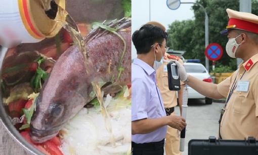 Khi ăn món ăn chế biến bằng rượu bia, có lên nồng độ cồn không?