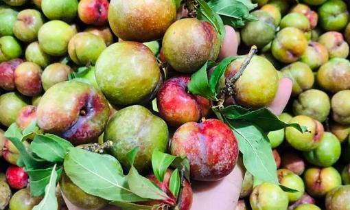 Mua mận đầu mùa đắt hơn thịt, chỉ mẹo chọn mận ngon 'xứng đáng đồng tiền' 