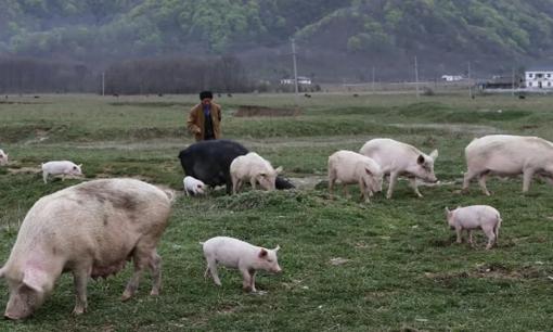 Người ta nói mọi người ở thành thị rất sâu sắc, khó đoán, tôi về quê lập nghiệp được 5 năm, nhưng nhận thấy con người ở nông thôn thực ra phức tạp hơn