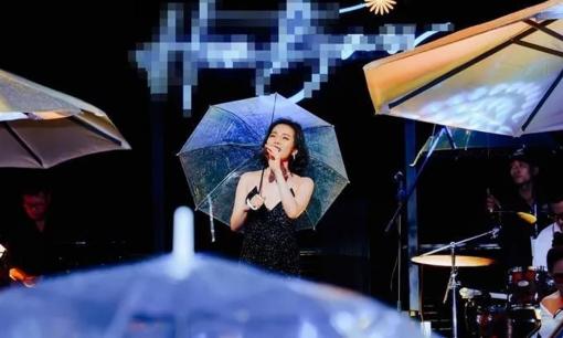 Lệ Quyên trình diễn đầy thăng hoa dưới trời mưa, 'quẩy' cực sung cùng hàng trăm khán giả