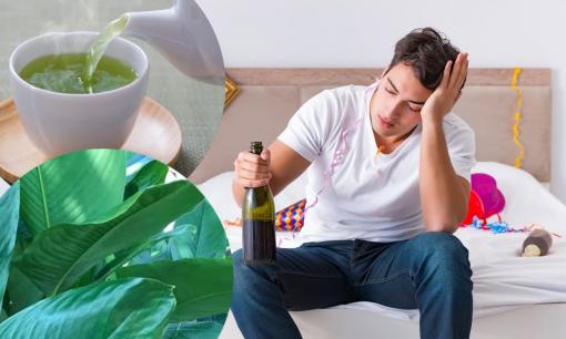 Mẹo giải rượu bằng lá dong cực hiệu quả, bạn đã thử chưa?