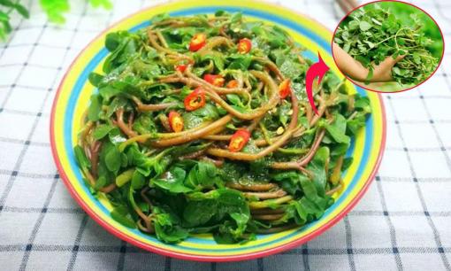Loại rau mọc dại ven đường ở Việt Nam được người Trung Quốc cực chuộng, hóa ra là 'thần dược' ít người biết dùng 