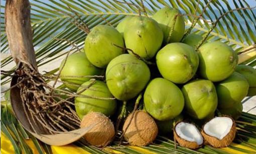 Nó được xem là loại quả 'quốc dân', giúp chữa loại bệnh mà 70% người Việt Nam mắc phải, ai cũng có thể dùng được