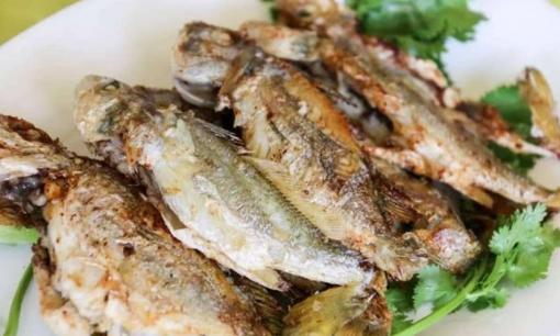 Đừng bỏ qua khi gặp loại cá này, nó chứa hàm lượng canxi rất cao, thường được cho trẻ em uống để giúp chúng cao lớn