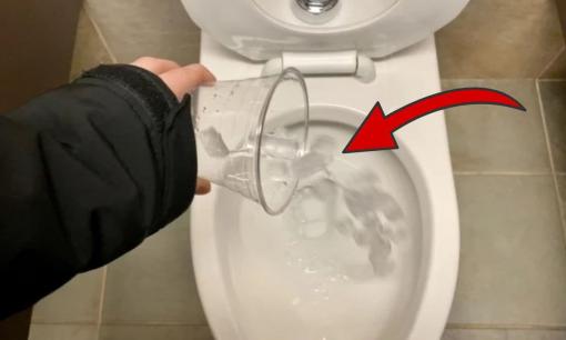 Đá lạnh đem đổ vào bồn cầu có công dụng lớn, biết để áp dụng không sẽ tiếc 