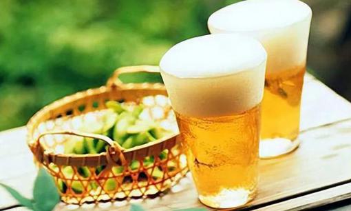 Phát hiện mới: Bia có lợi ích không ngờ! Một chai mỗi ngày thực sự có thể làm tăng sự đa dạng của vi khuẩn đường ruột!