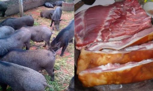 Người miền núi mách mẹo mua thịt lợn mán chuẩn xịn, nhìn vào điểm này không thể sai được, miếng nào cũng ngon