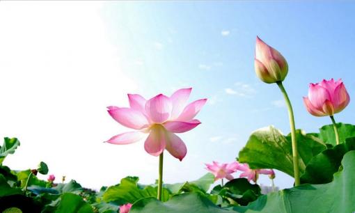 20 quy tắc xã hội bất thành văn để tránh phải chịu thiệt thòi cả đời