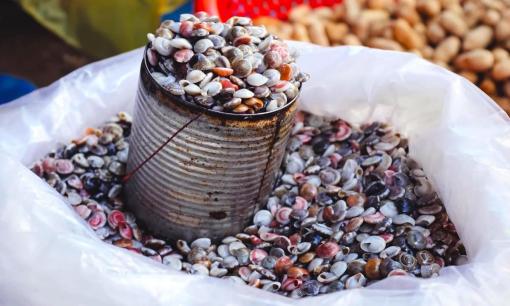 Đặc sản 'bảy sắc cầu vồng' của Việt Nam đang vào mùa, rất nhiều và rất rẻ, tưởng chỉ dành cho người rảnh rỗi nhưng hễ ai ăn là ghiền 