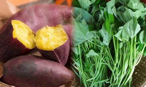 Khoai lang chứa nhiều chất dinh dưỡng có lợi với sức khỏe, ăn củ hay lá tốt hơn?