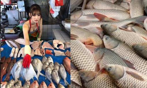 Hãy ngừng ăn 4 loại cá này, nếu không chúng có thể chứa formaldehyde và kim loại nặng gây hại cơ thể