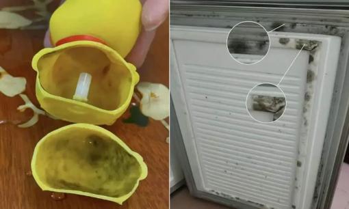 Những khu vực đầy nấm mốc trong nhà, sử dụng hàng ngày mà chẳng hay biết, nếu không loại bỏ sẽ ảnh hưởng đến sức khỏe