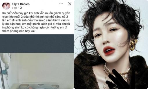 Elly Trần tiết lộ chồng cũ muốn giành quyền nuôi con, hiếm hoi chia sẻ khoảnh khắc sinh nở