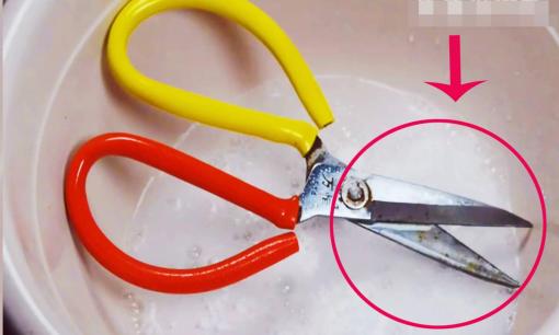 Dù chiếc kéo có cùn đến đâu, học được 'thủ thuật này', kéo sẽ nhanh chóng sắc bén như mới! Mẹo này rất hay