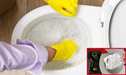 Dùng bột giặt để cọ bồn cầu có nên không? Câu trả lời khiến nhiều người kinh ngạc