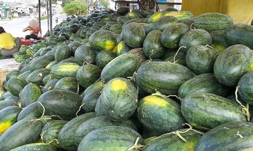 Top 10 loại quả mùa hè có nguy cơ bị ngâm hóa chất nhiều nhất chợ