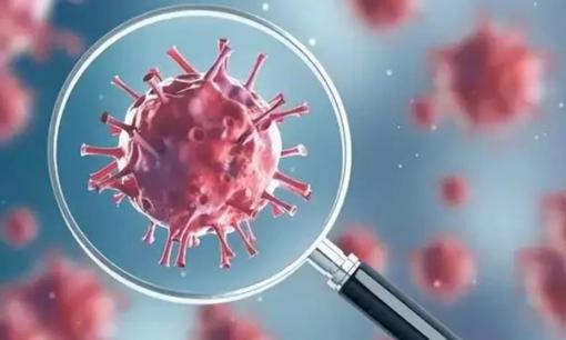 Những người có khả năng miễn dịch tốt có thể có 5 đặc điểm chính. Hãy so sánh và xem bạn có bao nhiêu trong số đó? 