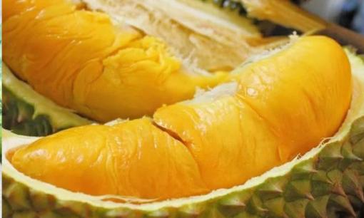 Khi mua sầu riêng, nhớ nắm vững mẹo này để chọn được những quả sầu riêng dày cùi và ngọt thơm