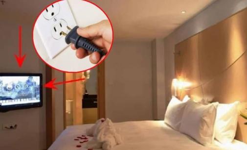 Tại sao các cặp đôi thường rút phích cắm TV sau khi nhận phòng khách sạn? Cô lao công nói sự thật