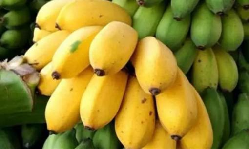 Sau khi ăn chuối 30 năm, tôi mới biết rằng có sự khác biệt lớn giữa chuối tây và chuối tiêu