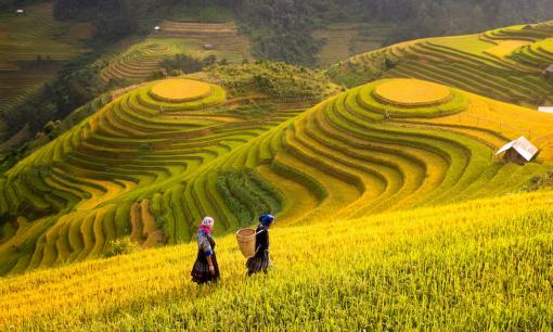 Cần chuẩn bị gì khi đu du lịch Sa Pa? Top 7 món đồ cần thiết nhất định không được quên