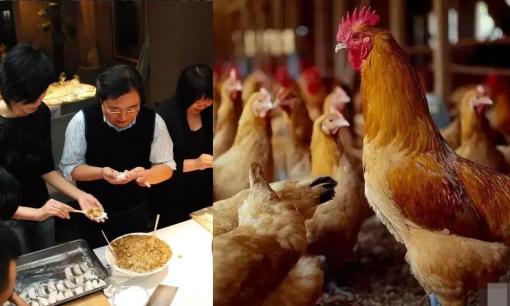 'Luật gà' tuyệt vời: Cách tốt nhất để anh em hòa thuận là không tiệc tùng, ăn uống