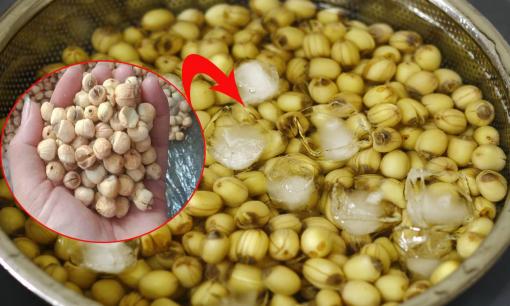 Bảo quản hạt sen tươi theo cách này để quanh năm không bị thâm, đắng, giữ nguyên vị ngọt bùi