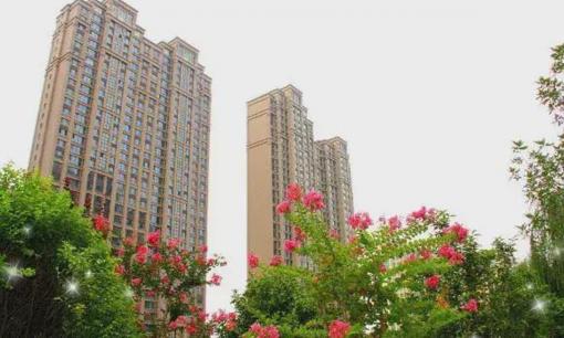 Chọn tầng này là “sàn vàng”! Người giàu đang gấp rút trả tiền đặt cọc!