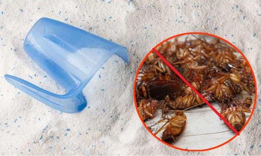 Đặt 1 bát bột giặt ở góc nhà có gì hay ho mà nhiều người mách nhau dùng? Biết công dụng, ai cũng làm theo, đặc biệt vào mùa hè