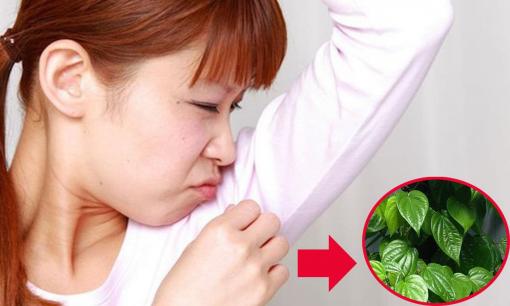 Dùng lăn khử mùi có hoá chất, thoa loại nước này vào vùng dưới cánh tay, vừa giảm thâm vừa giảm tiết mồ hôi, ngăn mùi hôi