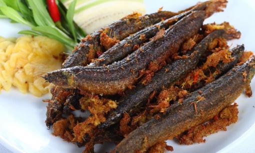 Cá này được ví như 'nhân sâm nước', đàn ông ăn nhiều khỏe như vâm, chống ung thư 