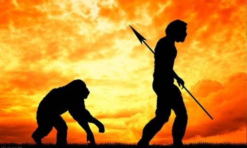 Nguyên nhân nào giúp trái đất duy trì được nhiệt độ thích hợp cho con người sinh sống?