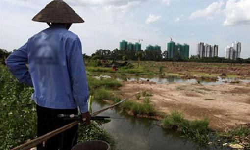 Từ 01/07/2024: Đất nông nghiệp bị thu hồi sẽ được đền bù ra sao? Biết để không bị thiệt thòi