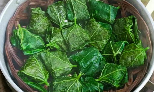 Loại lá được mệnh danh là 'nhân sâm của người nghèo', mùa này ở quê mọc đầy bờ rào, vừa làm món ăn ngon vừa là vị thuốc