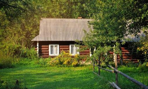 Cổ nhân dạy: 'Trước cửa ít trồng cây, sau nhà không mở cửa sổ' giúp vận khí hưng thịnh, hiện tại liệu có còn đúng?