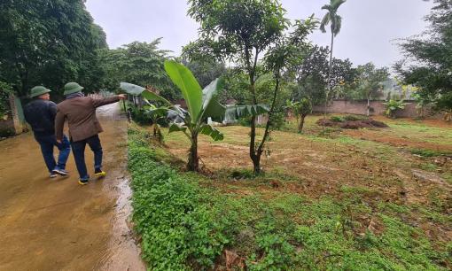 Đất vườn từng 'sốt giá' này giảm sâu vẫn không thể bán, lý do vì sao?